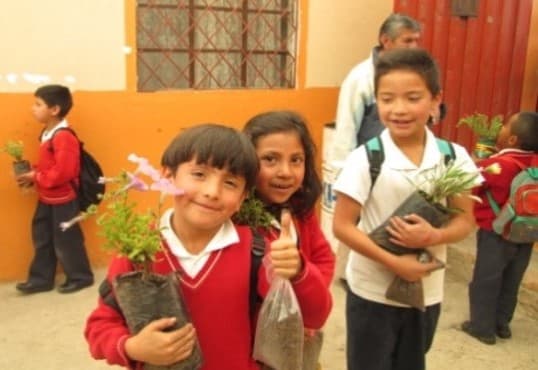 Medio Ambiente - imagen 2