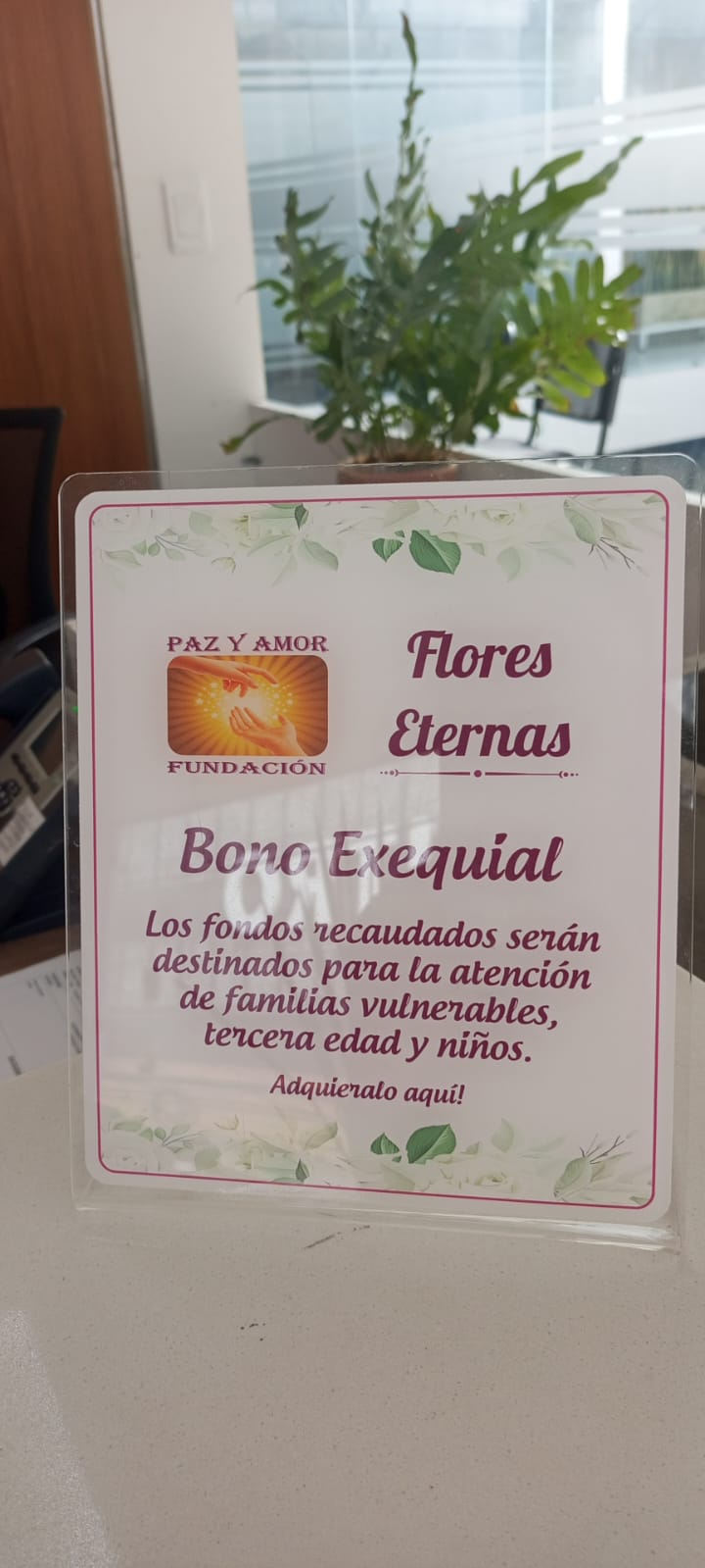 Flora y Fauna — fotografía 4